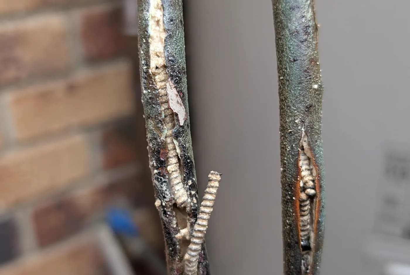 Corroded heating elements removed from a hot water cylinder